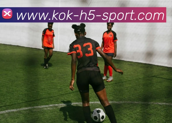 KOK体育APP 封面图